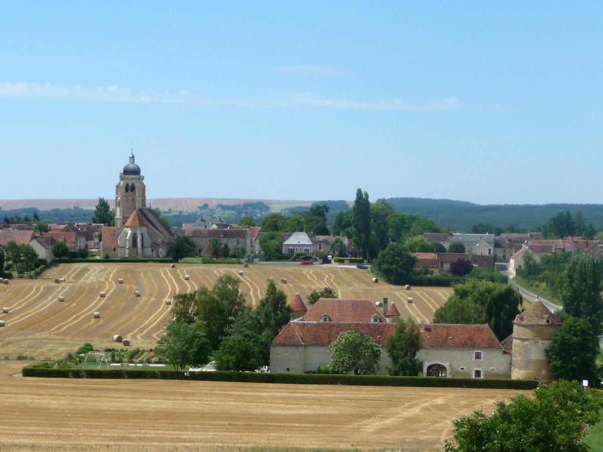 Chateau De Ribourdin Chevannes  Exterior foto
