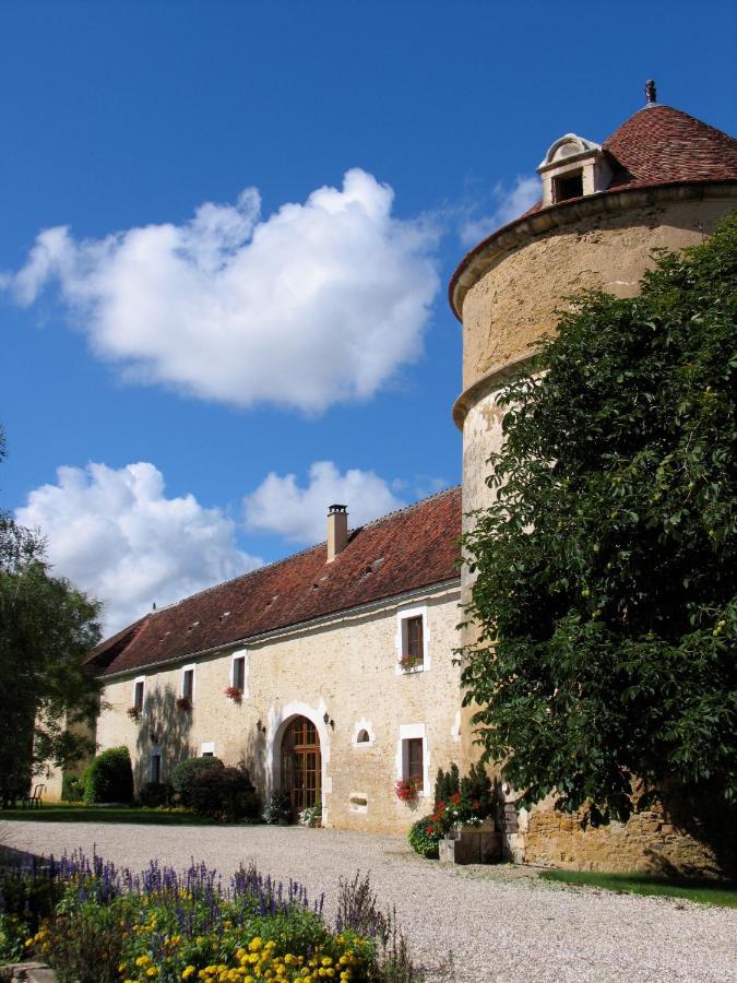 Chateau De Ribourdin Chevannes  Exterior foto
