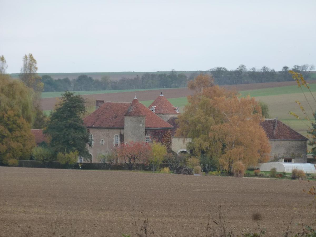 Chateau De Ribourdin Chevannes  Exterior foto